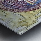 img7431749 cd97f2bc91f2c85d.v1 Metal print