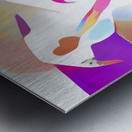 img7427534 c7d48da23d03ec17.v1 Metal print