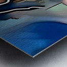 img7427568 a5797c5e45cb8293.v1 Metal print