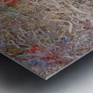 S8301140.1 Metal print