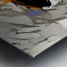 img7425275 db3ade15d8341d83.v1 Metal print