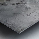 img7430822 57d7d82da292bad2.v1 Metal print