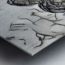 img7415806 ccac23a24d787d36.v1 Metal print