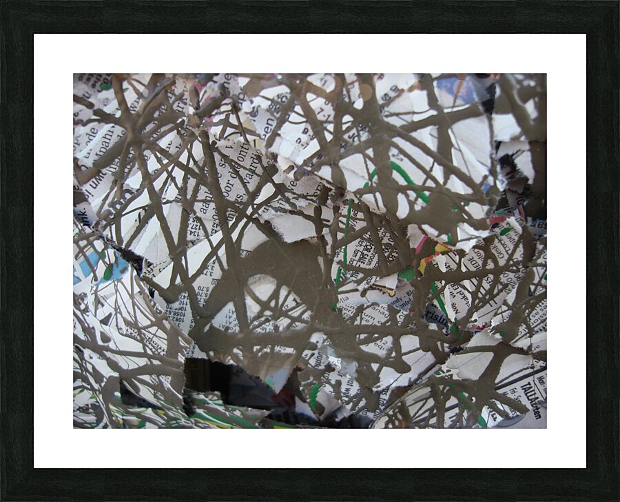 Chronicle Picture Frame print