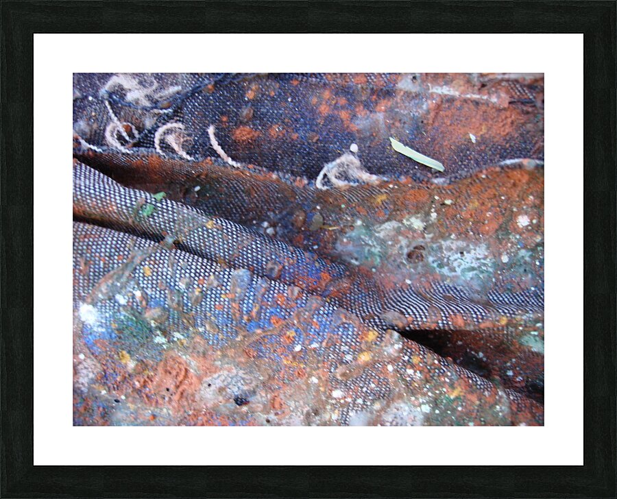 Textures of Time: Decay and Renewal Picture Frame print