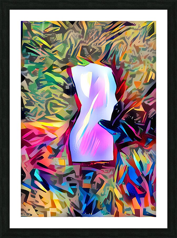 the digital pass Picture Frame print