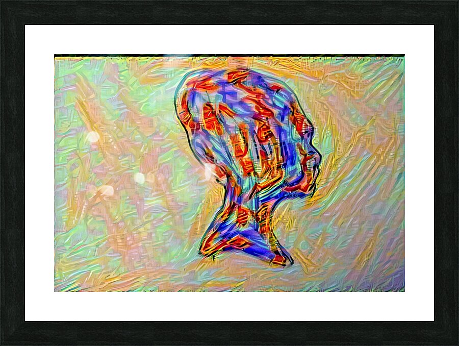 Mindscape Picture Frame print