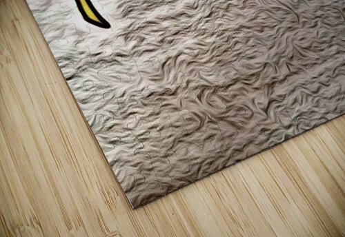 A Celebration of Movement Luciano puzzle