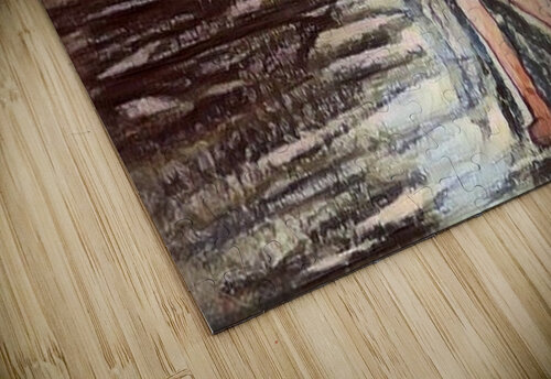 POSE 7 Luciano puzzle