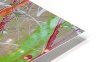 The Paint Strips HD Metal print