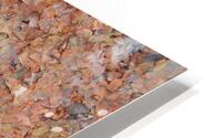 autumm HD Metal print