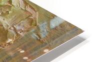 nature tones HD Metal print
