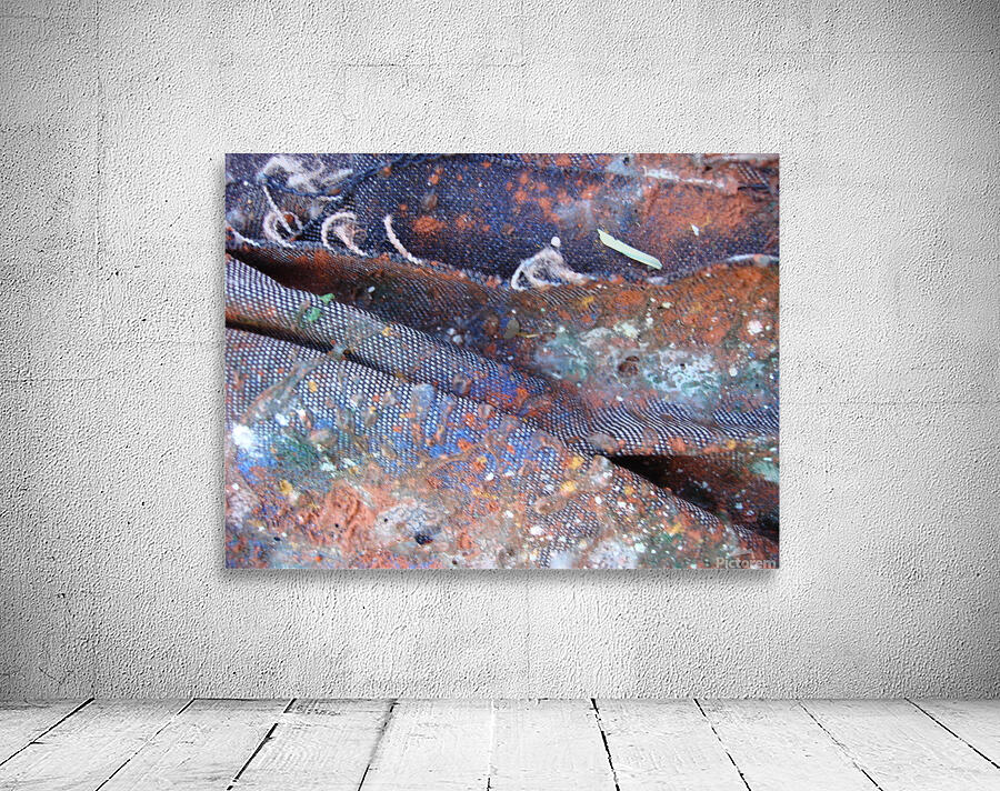 Textures of Time: Decay and Renewal Wall Preview