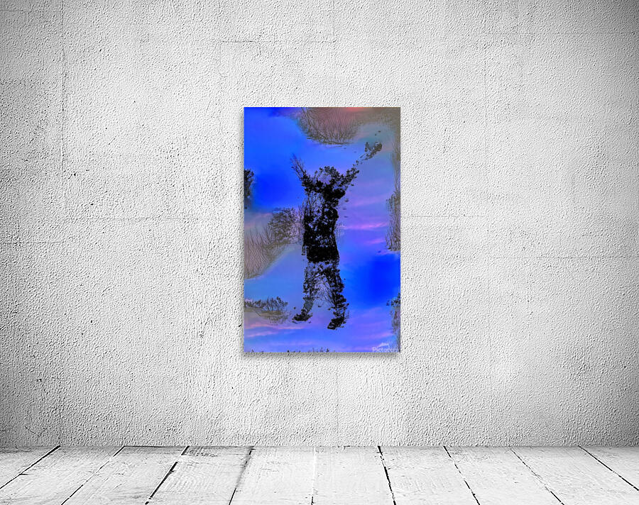 img7429167 bc1a5570535542a9.v1 Wall Preview