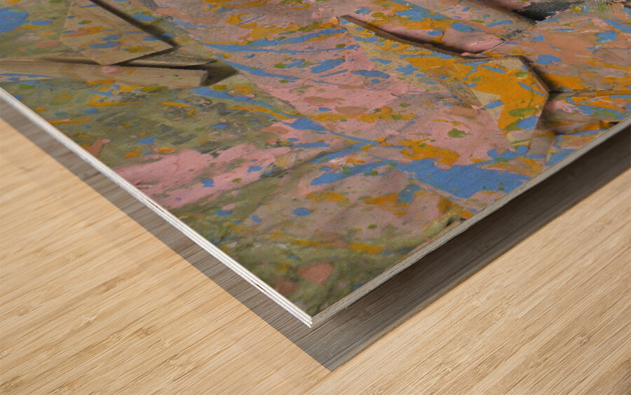 Constructed Debris Wood print