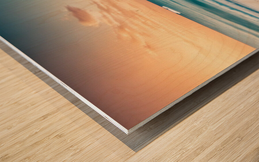 girl at beach Wood print