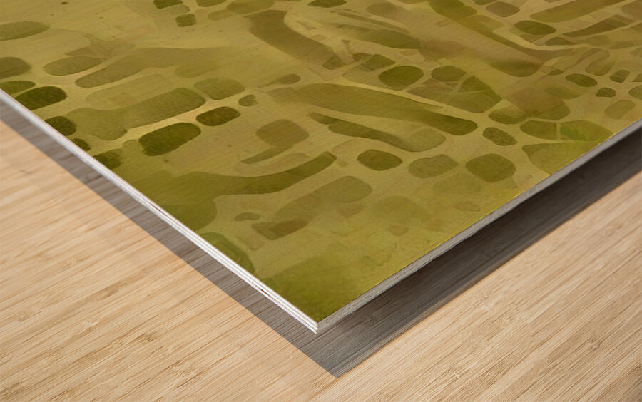 time zone 1 30 Wood print