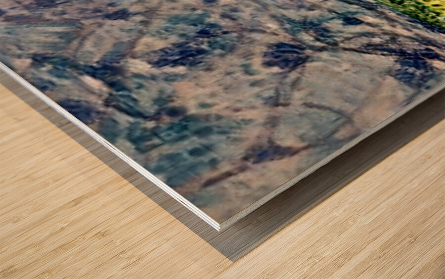 img7430113 68647a30329f6d73.v1 Wood print