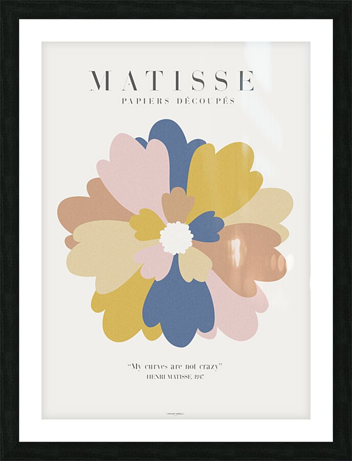 MATISSE   Fleur et feuilles Picture Frame print