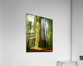 Light at the End Acrylic Print