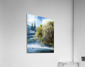 I ll Lead Acrylic Print