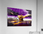 Balancing Act Acrylic Print