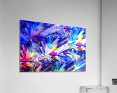 Refletion Acrylic Print