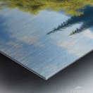 I ll Lead Metal print
