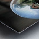 Time Capsule Metal print