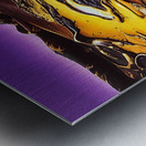 Visionary Metal print