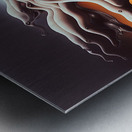Consumption Metal print