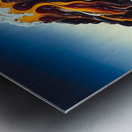 Polar Opposites Metal print