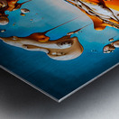 The Crab Metal print