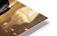 Yes Master HD Metal print