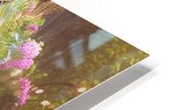 Queen Mab HD Metal print
