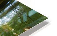 Light at the End HD Metal print