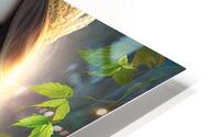 Green Goddess HD Metal print