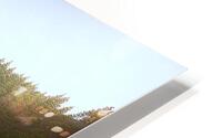 The Path Forward HD Metal print