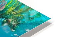Siren Song HD Metal print