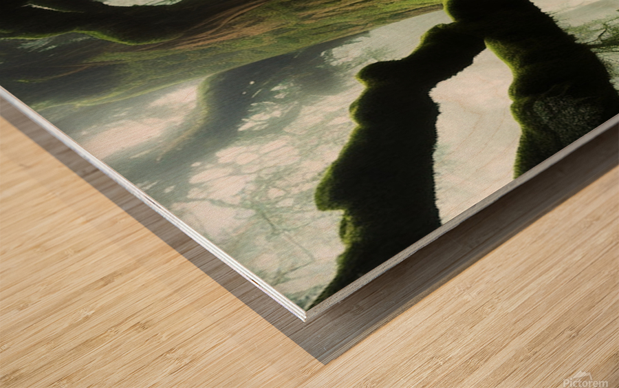The Climb Wood print