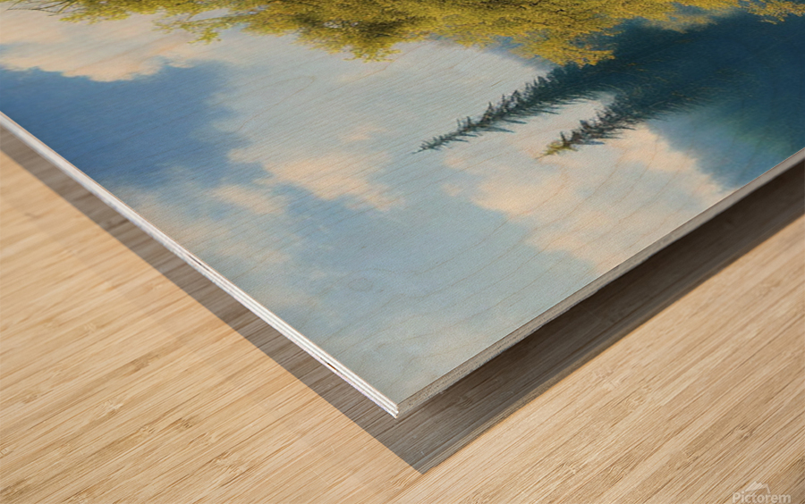I ll Lead Wood print