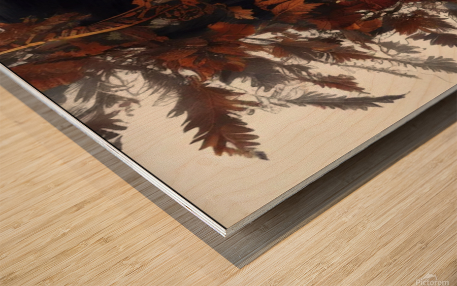 Autumn Wood print