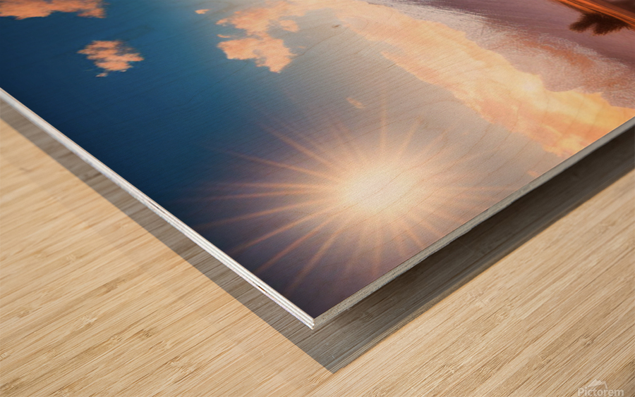 Climate Change Wood print