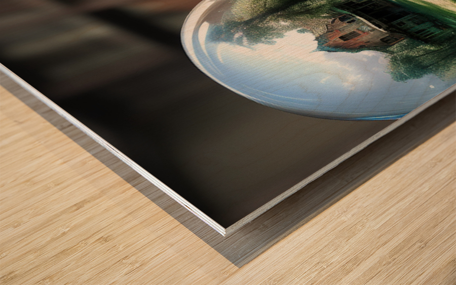 Time Capsule Wood print
