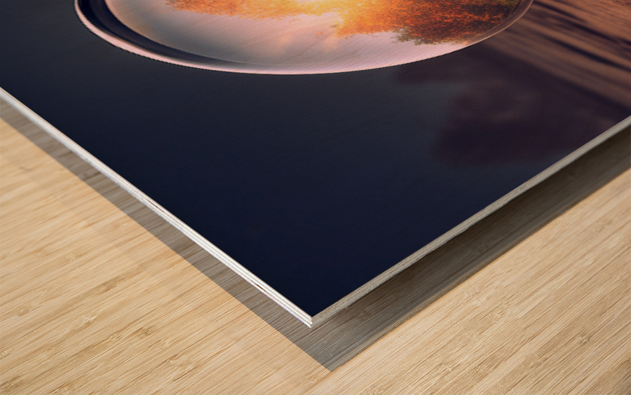 Life s Illusion Wood print