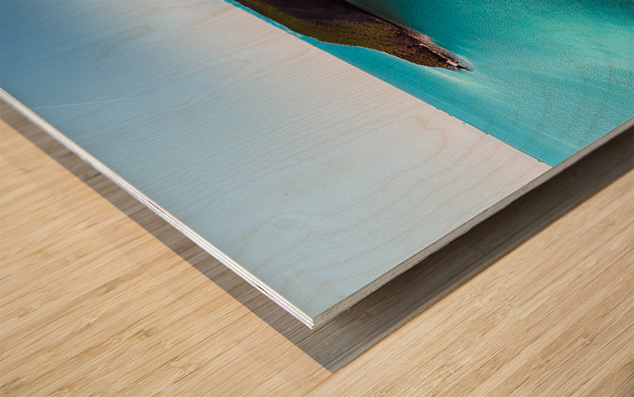 Private Island Wood print