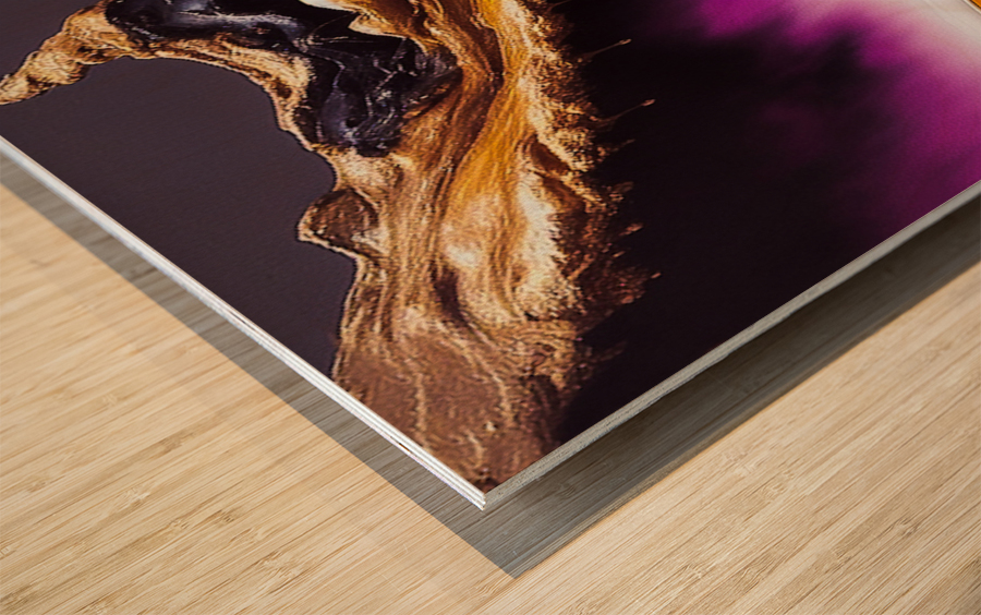 Falling Wood print