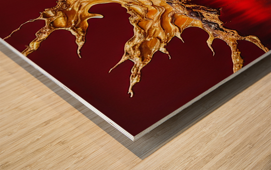 The Divide Wood print