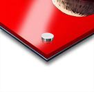 One piece  Acrylic print