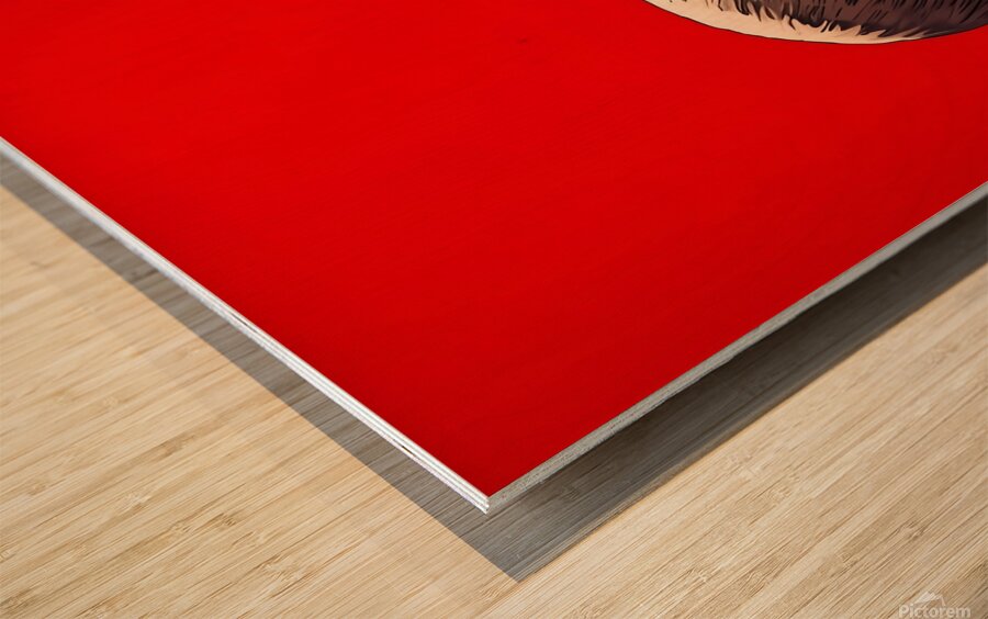 One piece  Wood print